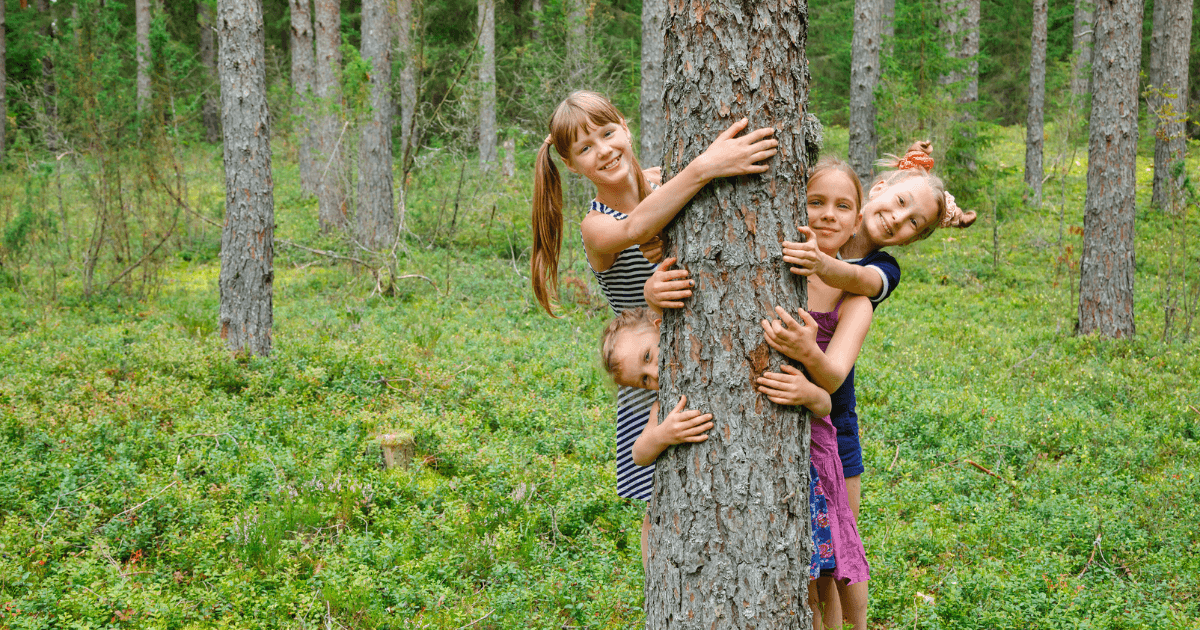 Four children, smiling and hugging a tree, stand in a lush, green forest with tall trees in the background. The children peek out from behind the trunk, enjoying time together at their forest school preschool.