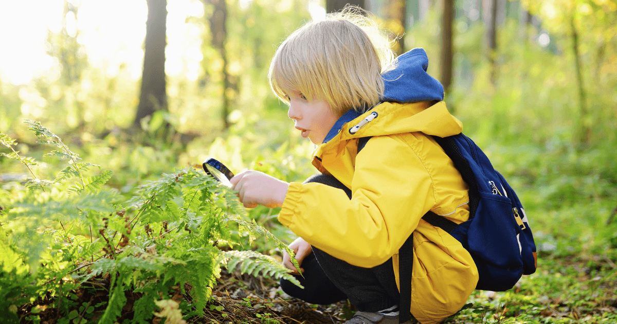 A young child wearing a yellow jacket and blue backpack crouches in a forest, closely examining green ferns with a magnifying glass—an experience inspired by a nature-based curriculum—on a sunny day.