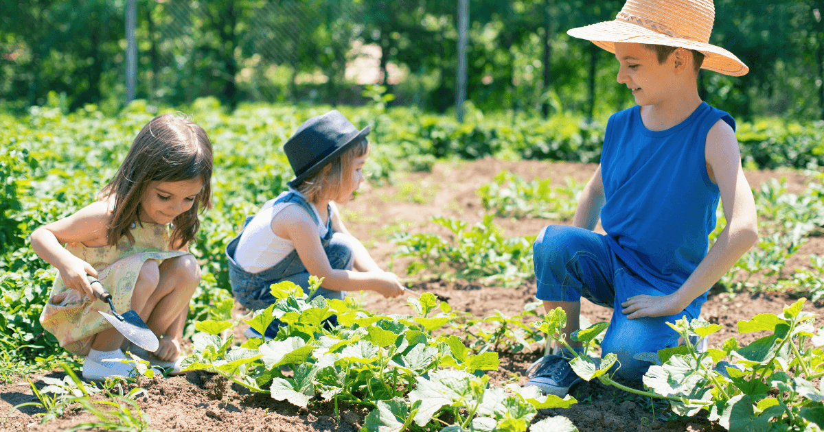 Three children are gardening outdoors on a sunny day in a community garden. Two girls and one boy are tending to plants in a garden bed, using small tools, and smiling together. The background shows green foliage and a fence.