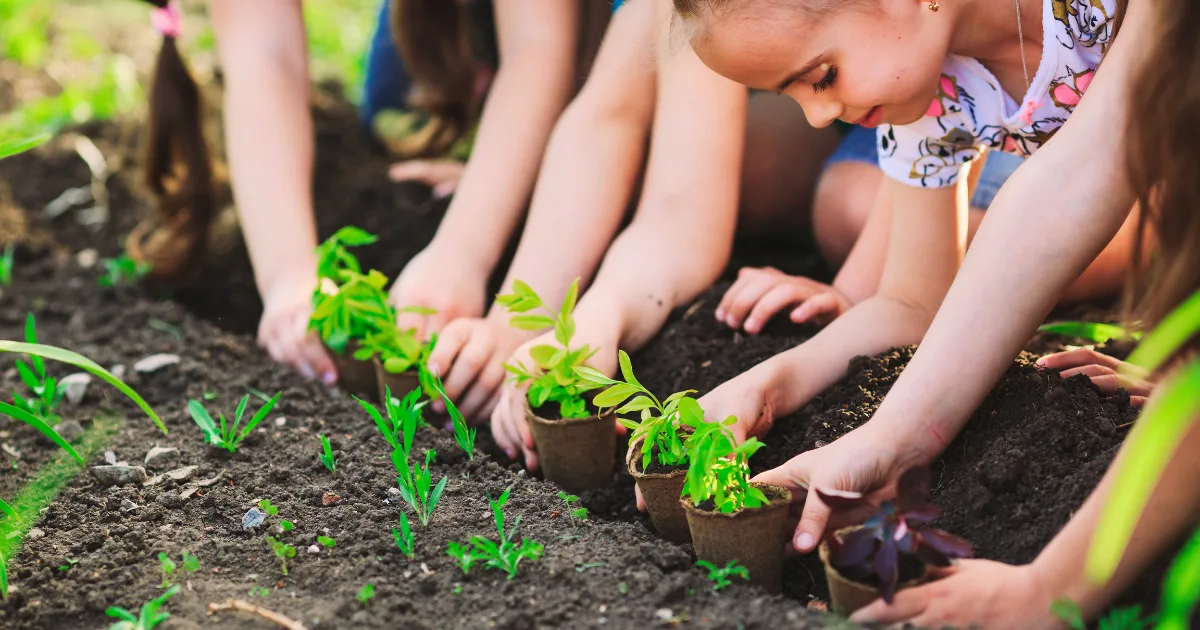 Children planting young seedlings in soil, working together outdoors in a garden on a sunny day as part of a service learning activity. Their hands are gently placing small green plants into the earth.